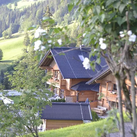 Bergseegut Chalet Und Apartment Wagrain Exterior photo