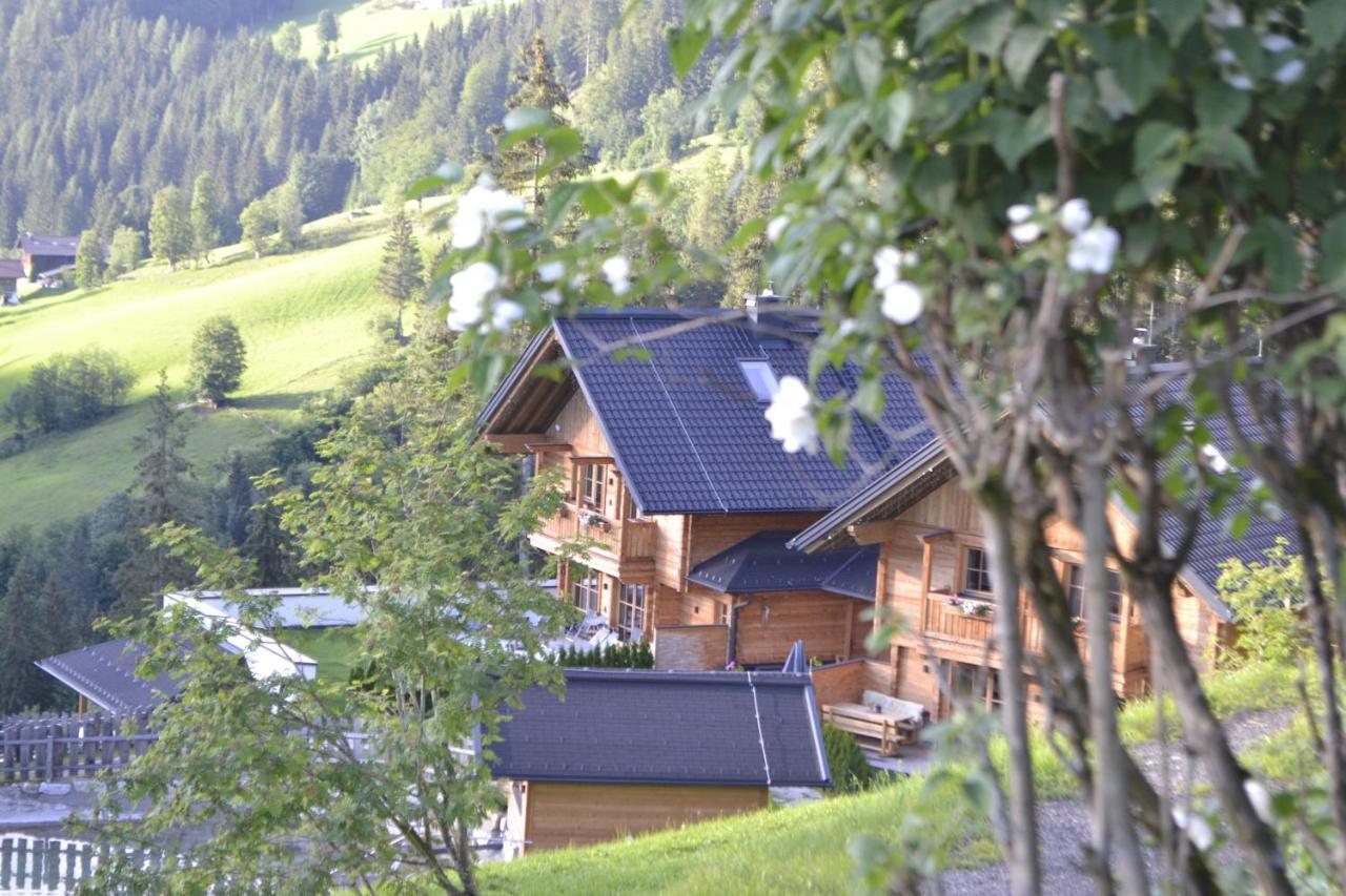 Bergseegut Und Apartment